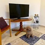 Booklovers Apartment Close To Center